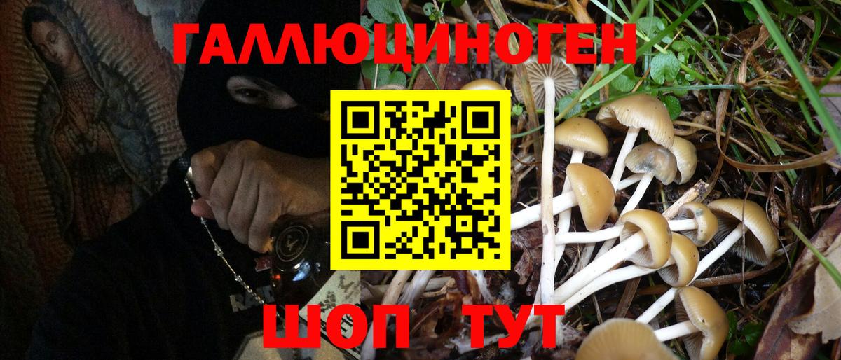 Галлюциногенные грибы MAGIC MUSHROOMS Холмск