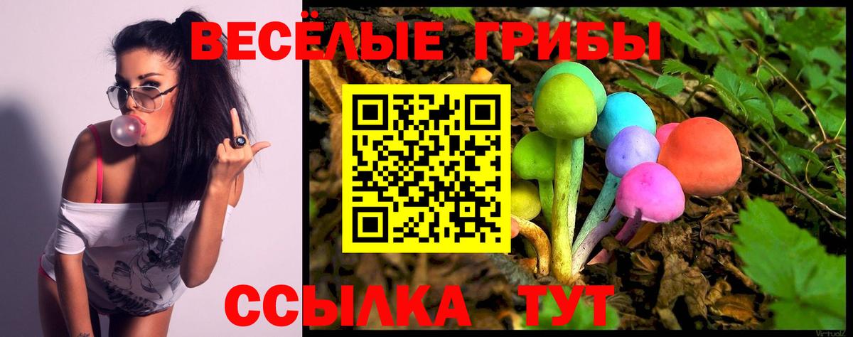 Галлюциногенные грибы мицелий  Вход с VPN  Холмск 